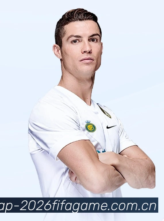 FIFA官方数据授权认证